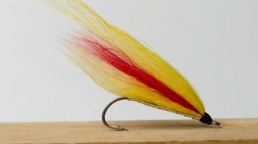 Polar Mickey Polar Mickey