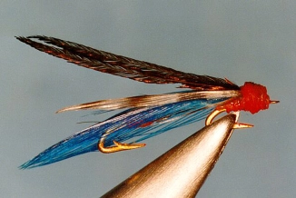 Paul Slaney's fly Paul Slaney's fly