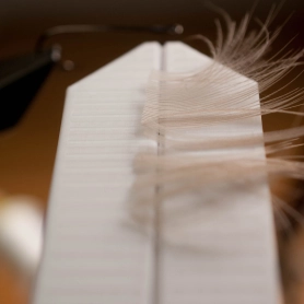 Material laid down Material laid down