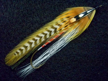 Water Witch Water Witch