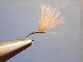 Brown Thread BWO CDC Emerger Brown Thread BWO CDC Emerger