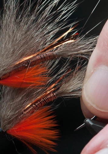 LCR or not LCR or not