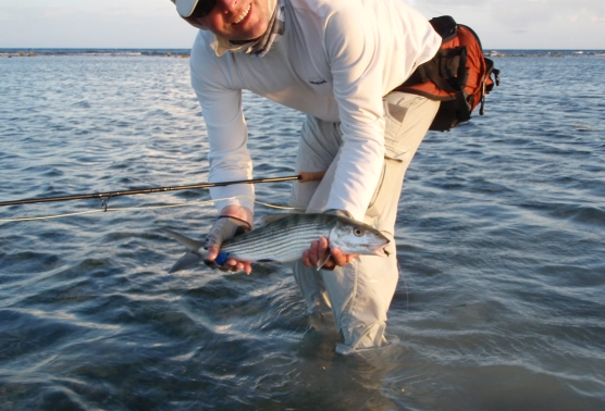 A Roatan bonefish A Roatan bonefish