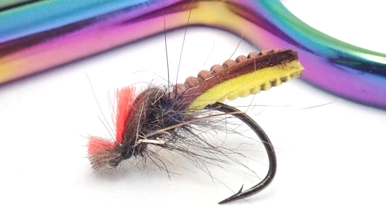 Foam caddis Foam caddis