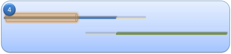 Step 4 - Now the fly lines are ready to be merged. Step 4 - Now the fly lines are ready to be merged.