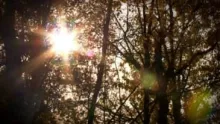 Video thumb for Cast Alaska Trailer