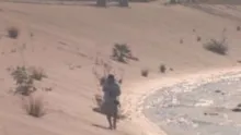 Video thumb for LA River fly fishing