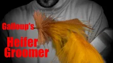 Video thumb for Galloup's Fat Head/Heifer Groomer