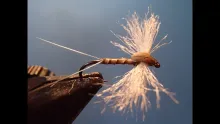 Video thumb for Tan PFD Spinner