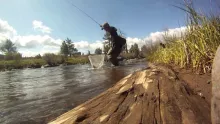Video thumb for Hatch and Release