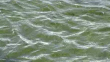 Video thumb for Fly Fishing New Zealand's South Island
