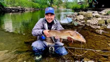 Video thumb for Big Fish in the City
