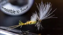 Video thumb for Last Chance Cripple