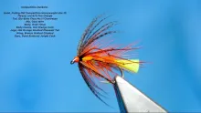 Video thumb for Competition Dunkeld