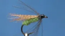 Video thumb for Wood Duck Caddis