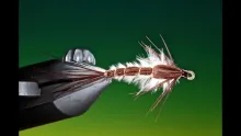Video thumb for Danica Mayfly Nymph