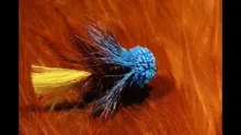 Video thumb for Liquorice Allsort