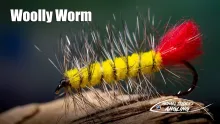 Video thumb for The Woolly Worm