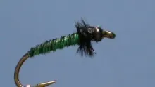 Video thumb for Large Green Caddis Larva