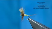 Video thumb for Golden Olive Comparadun