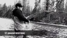 Video thumb for Tailing Chromers