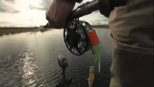 Video thumb for Connect Segment