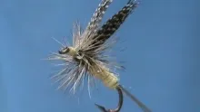 Video thumb for Green Drake