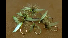 Video thumb for Greenwells Glory