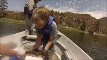 Video thumb for Cicada Madness Green River, Utah 2013
