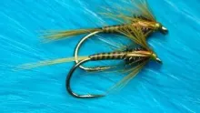 Video thumb for The Olive Quilled Cruncher