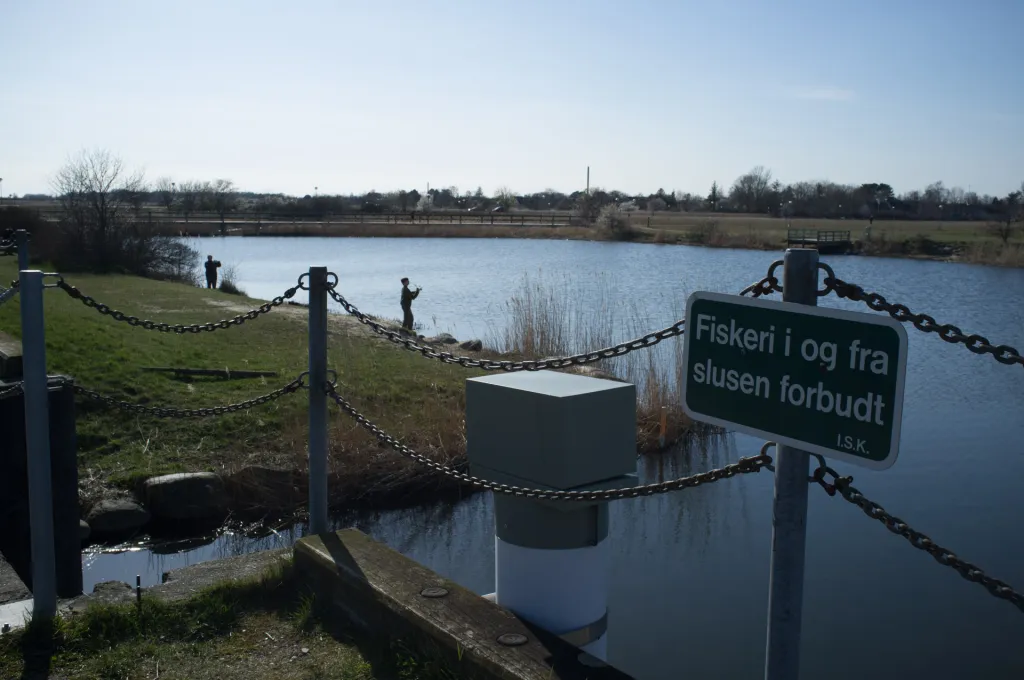 Perch lake on Great Vejle Stream - This lake on the inside of the sluice can only be fished with a day license bought as an addition to the state license. The sign say that fishing from the sluice is no allowed