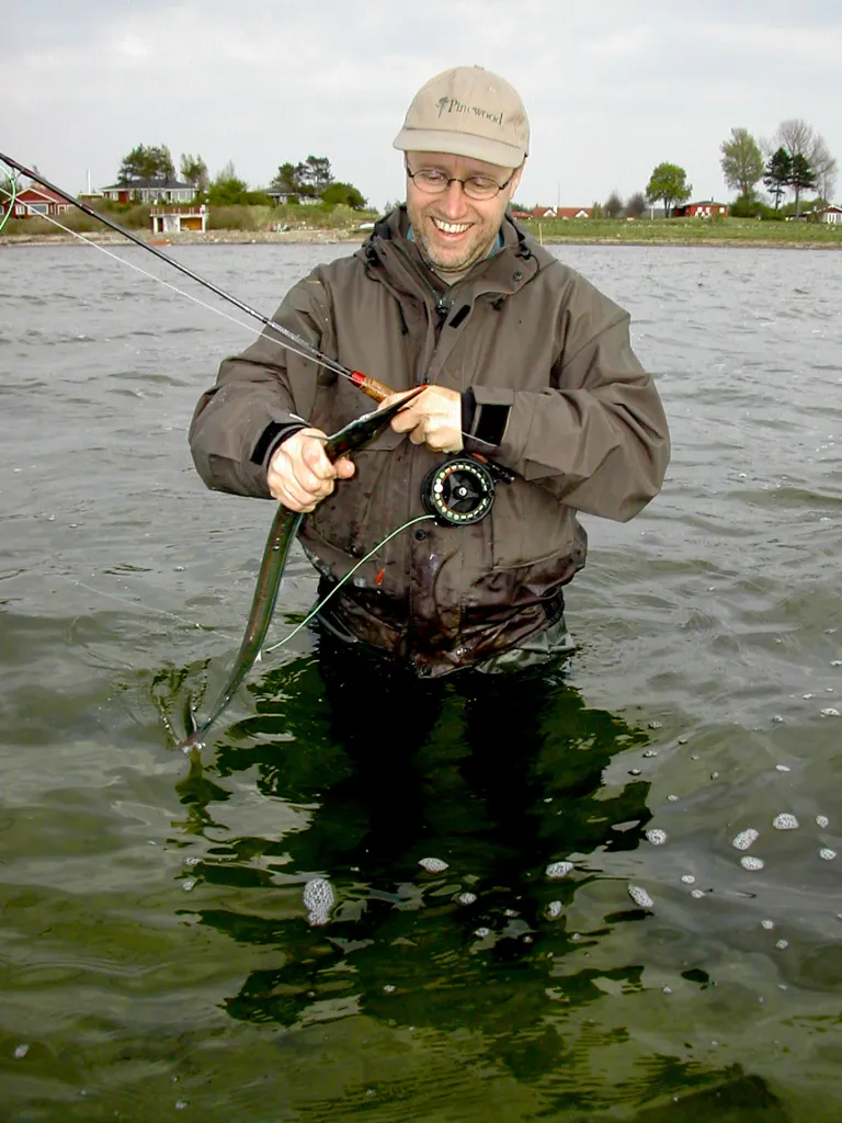 Garfish - This fish was caught in Roskilde Fjord near Risø