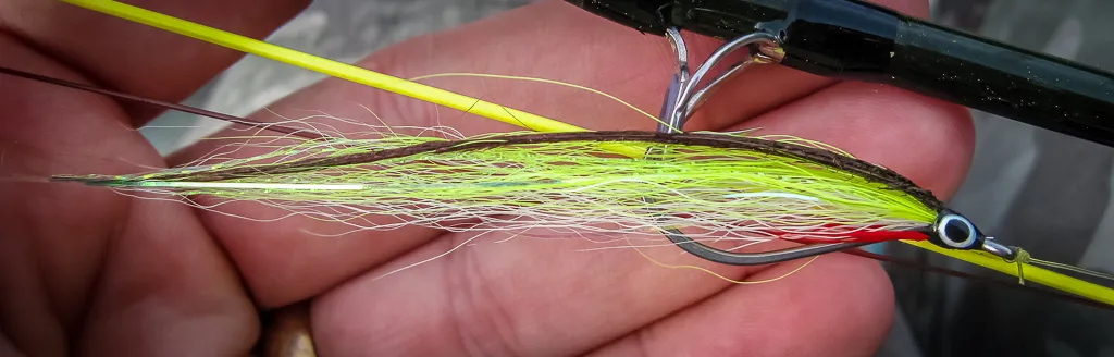 Bendback - Flies for bass do not have to be fancy. A simple bucktail tied on a weedless hook - like this bendback that rides point up - are super effective. Chartreuse and white is never the wrong answer. Cast it to structure, strip it slowly and erratically, and wait for the hit.