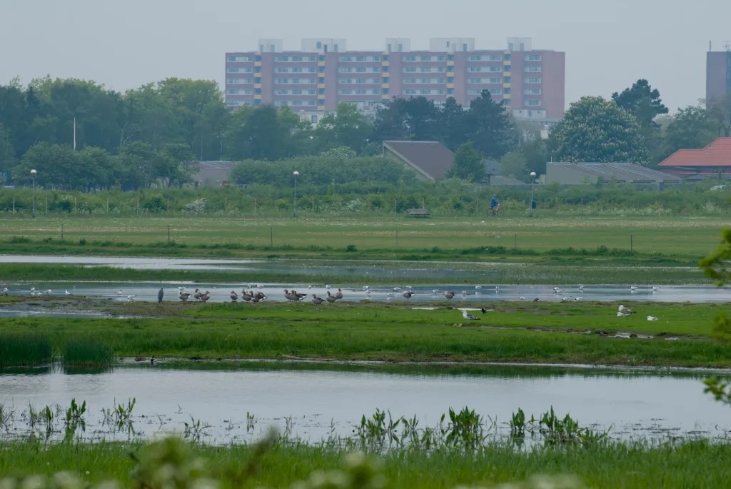 Ishoej area - The whole area around Ishoej Harbor is surprisingly rich in nature and water, very close to town